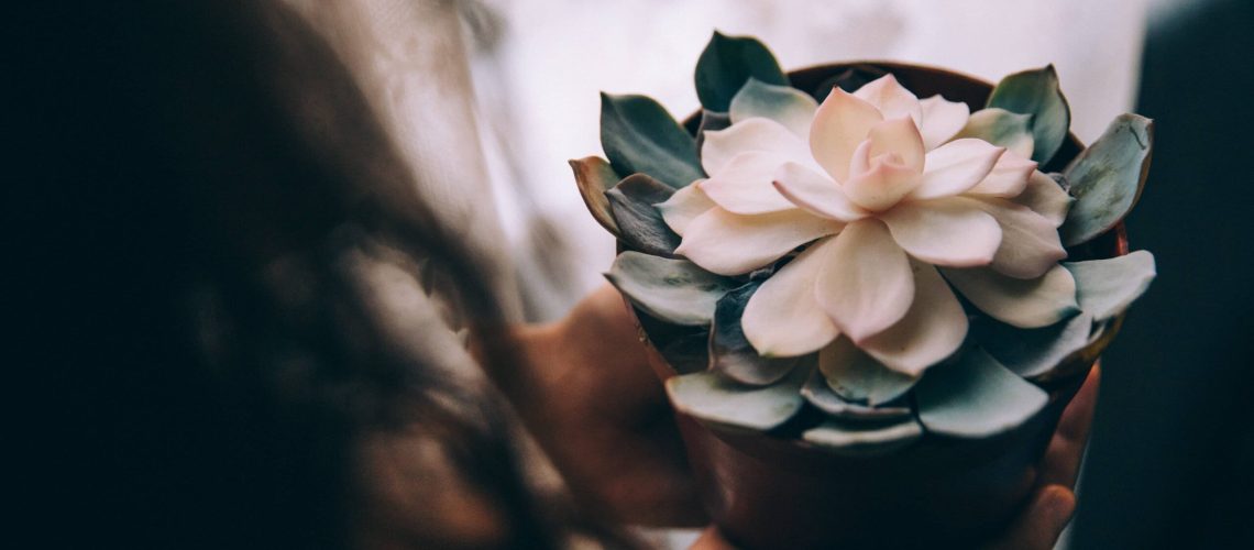 woman-holds-potted-flower-in-her-hands (1)